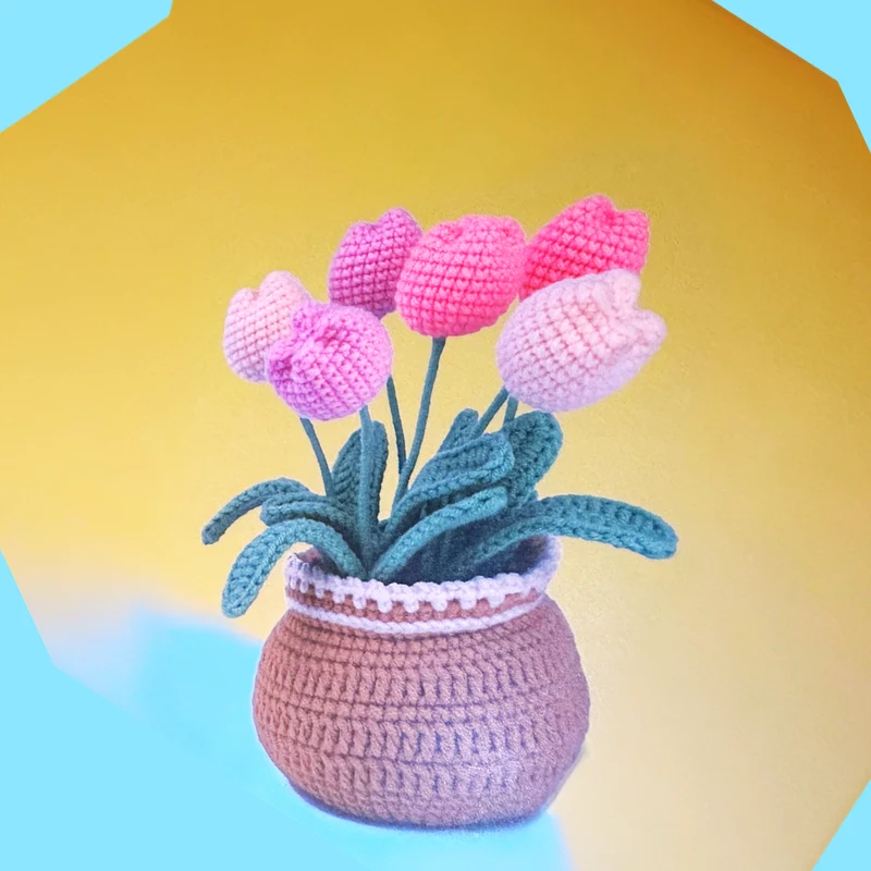 Tulpen haken - DIY Pakket