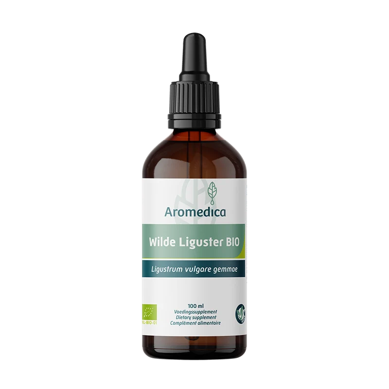 Aromedica Wilde liguster gemmo tinc - Ligustrum vulgare bio 100 ml