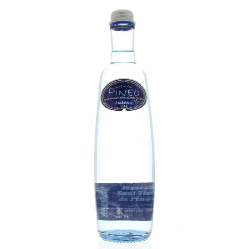 Pineo Intens met koolstofdioxide 500ml