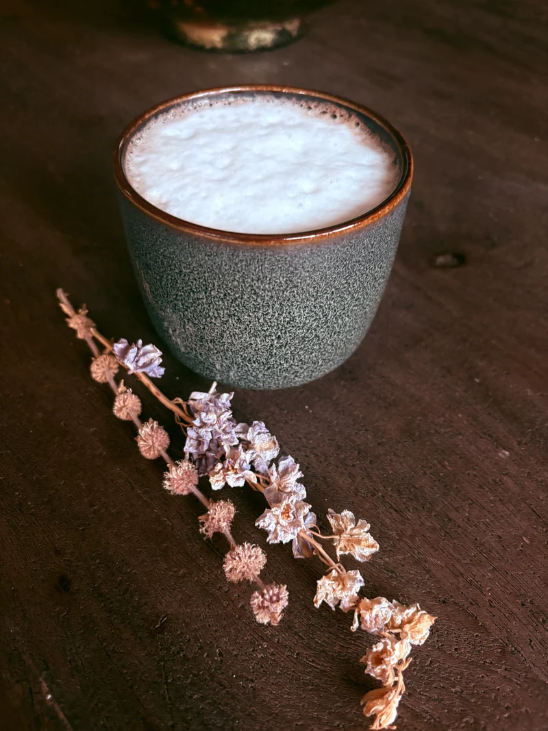 Mix voor cacaolatte (255 gram)