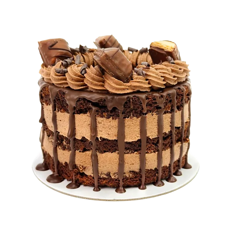 Ultimate Chocolate Bento Cake - 5 inch