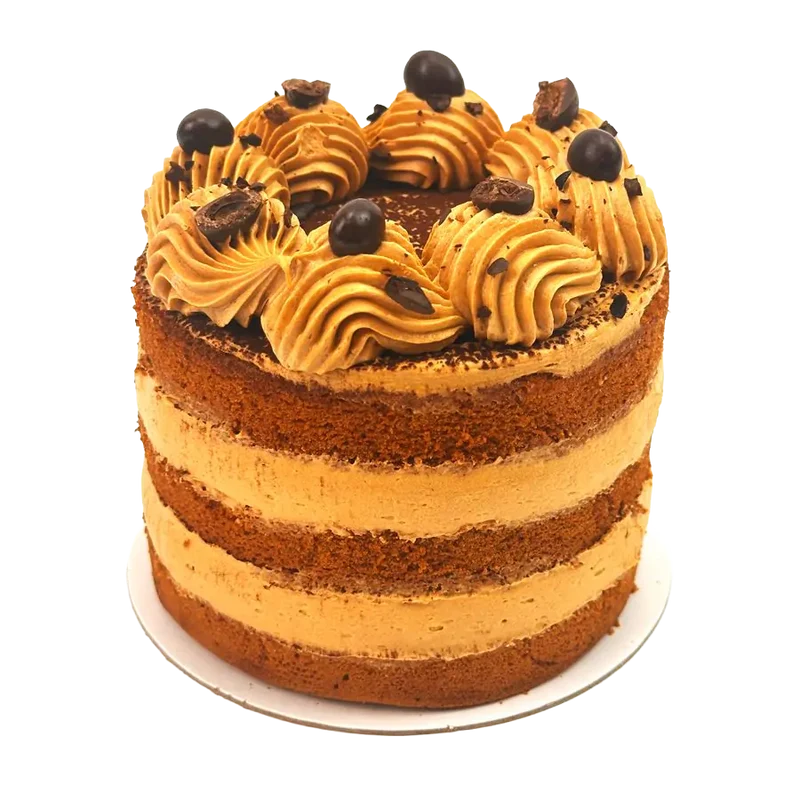 Coffee Bento Cake - 5 inch