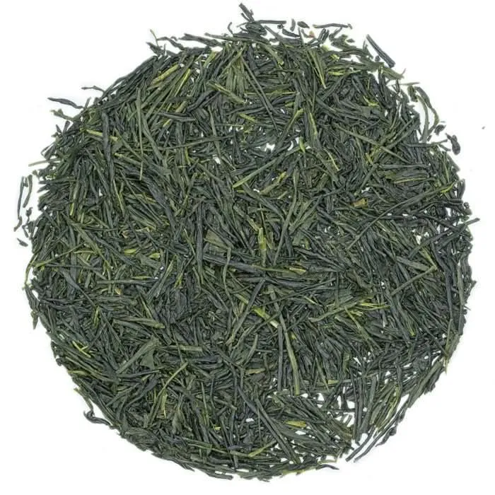Gyokuro Tokiwa Biologisch