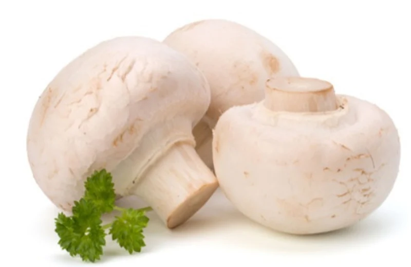 Weißer Pilz BIO 250g
