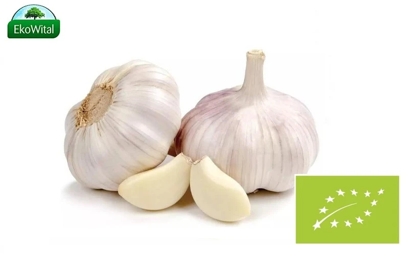 Knoblauch BIO 1 Stück