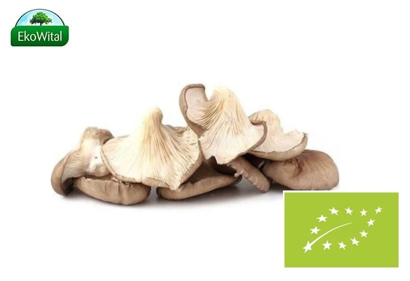 SIDE BIO Pilz 200 g