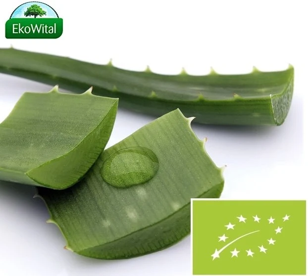Aloe BIO IMPORT 1 kg