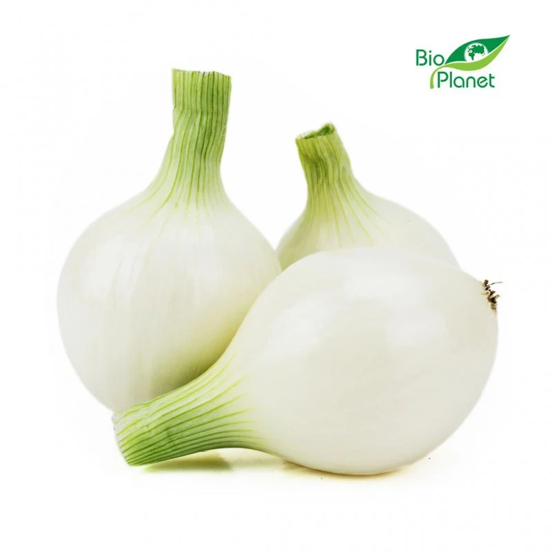 Weiße (Zucker-)Zwiebeln BIO 1 kg