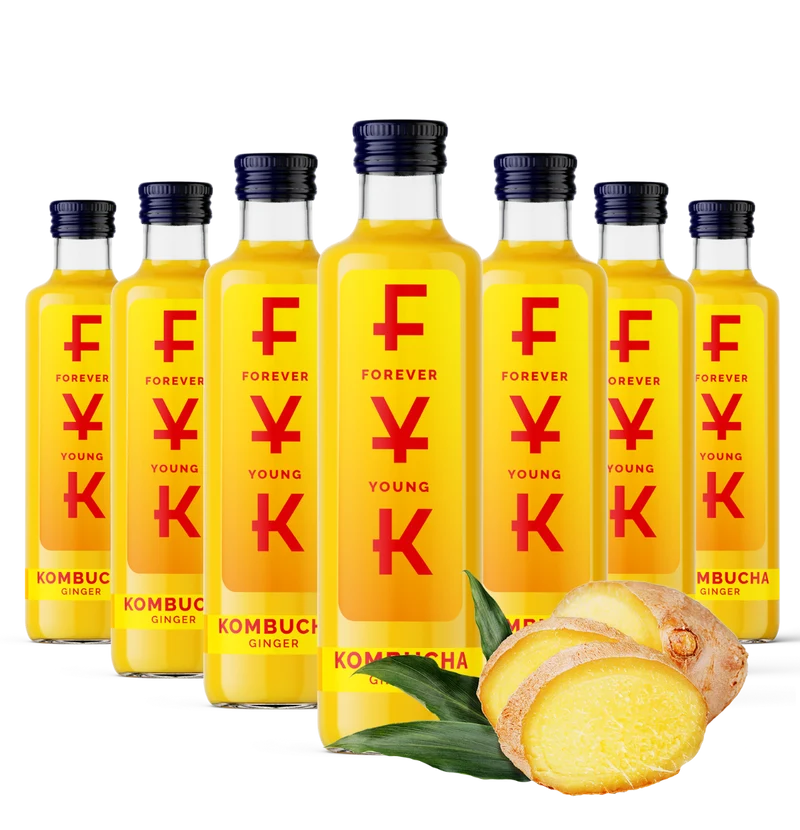 FYK Kombucha Ingwer 0,25l